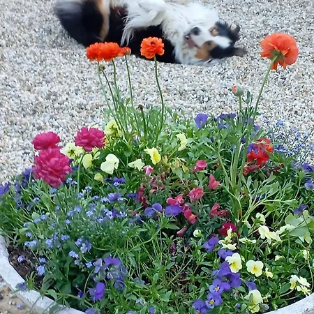 Pass Assaggiando Pensjonat